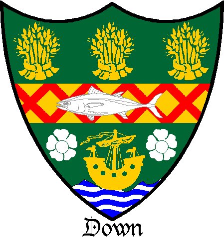 The Coat of Arms for County Down