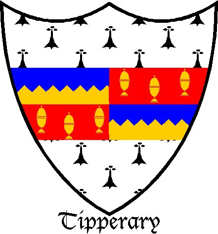 The Coat of Arms for County Tipperary.