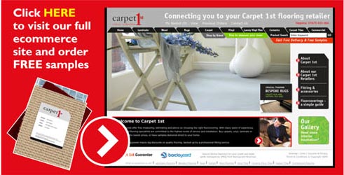 Carpet1st main website