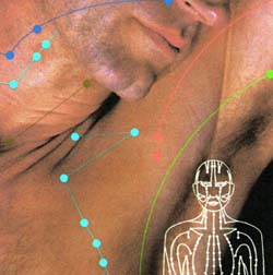 Meridian Therapies, working with the energy points in the body.