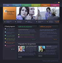 Example image of a professional looking website.