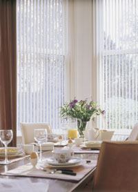 Vertical blinds in dining room.