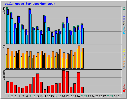 Daily usage for December 2024