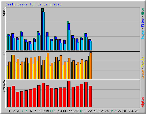 Daily usage for January 2025