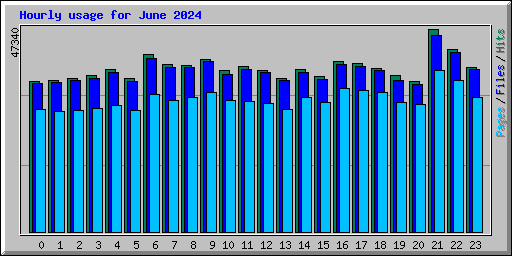 Hourly usage for June 2024