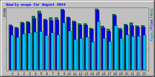 Hourly usage for August 2024