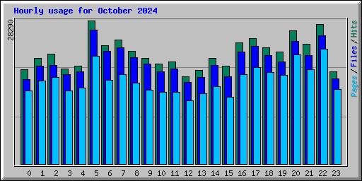 Hourly usage for October 2024