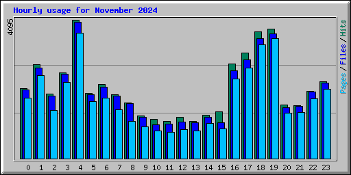 Hourly usage for November 2024