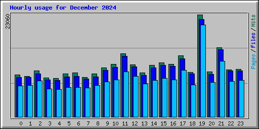 Hourly usage for December 2024