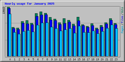 Hourly usage for January 2025