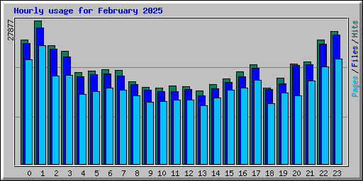 Hourly usage for February 2025