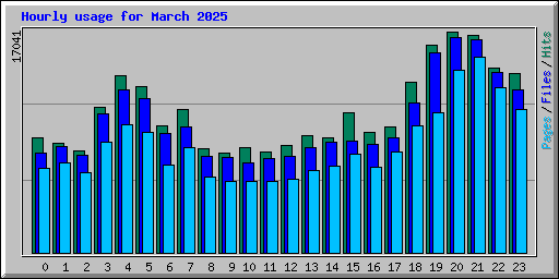 Hourly usage for March 2025