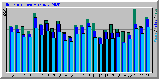 Hourly usage for May 2025
