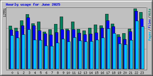 Hourly usage for June 2025