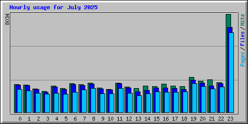 Hourly usage for July 2025