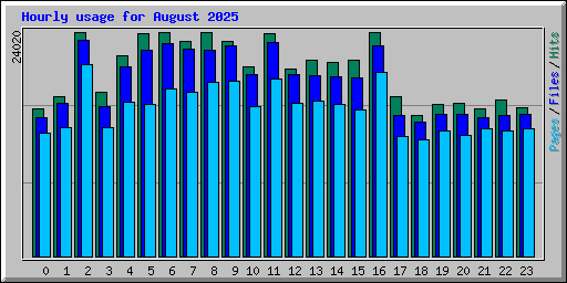Hourly usage for August 2025