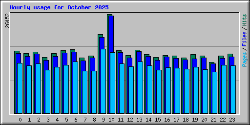 Hourly usage for October 2025
