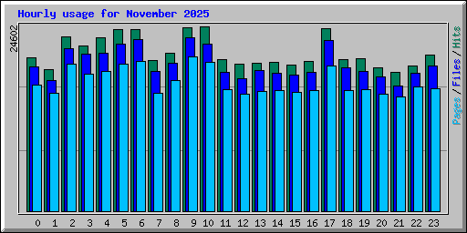 Hourly usage for November 2025