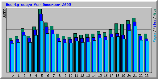 Hourly usage for December 2025