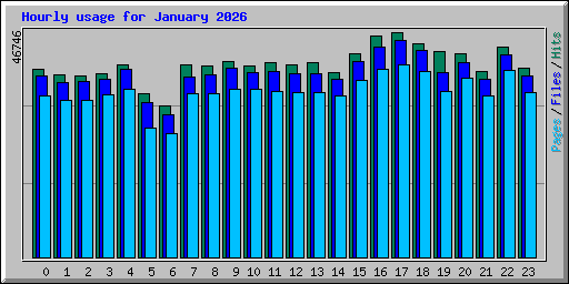 Hourly usage for January 2026