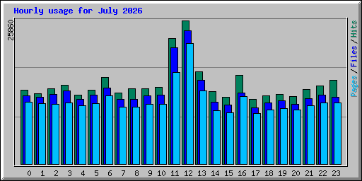 Hourly usage for July 2026