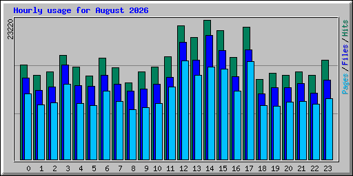 Hourly usage for August 2026