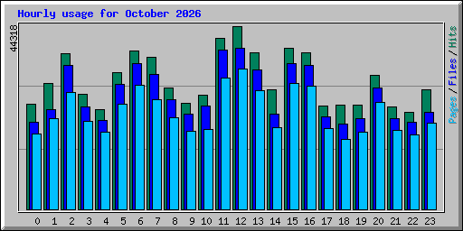 Hourly usage for October 2026